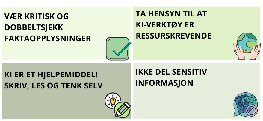 [vær kritisk og dobbetsjekk faktaopplysninger, ta hensyn til at KI er ressurskrevende, les skriv og telk selv, ikke del sensitiv informasjon ]